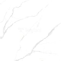 YMP55614T