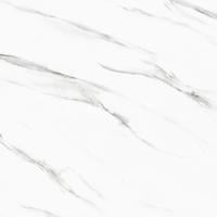 MRP66203T