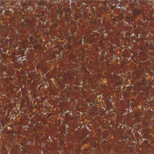 PGP66002