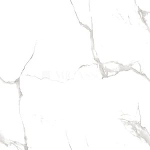 MRP66003T