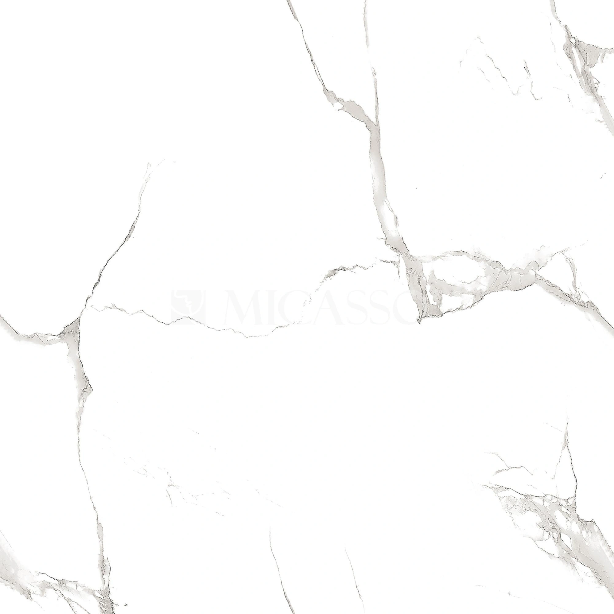MRP66003T