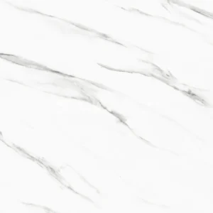 MRP66203T