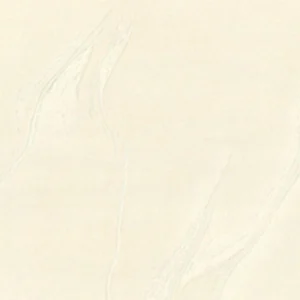 PGS66001T