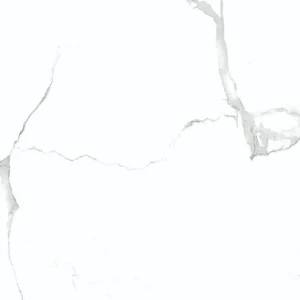 FGC66198T