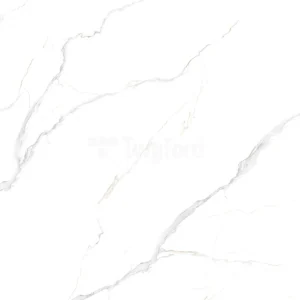 YMP55614T