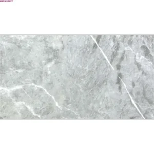 GREY GLOSSY-60X120 WALL/FLOOR TILE (MRP612049Y)