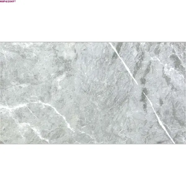 GREY GLOSSY-60X120 WALL/FLOOR TILE (MRP612049Y)