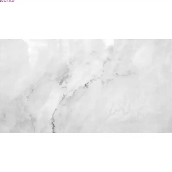 GREY GLOSSY-60X120 WALL/FLOOR TILE (MRP612003Y)