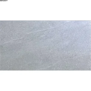 GREY GLOSSY-60X120 WALL/FLOOR TILE (MRP612007Y)