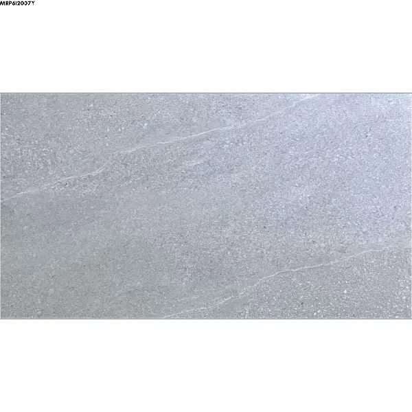 GREY GLOSSY-60X120 WALL/FLOOR TILE (MRP612007Y)