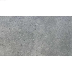 GREY MATTE-60X120 FLOOR/WALL TILE (MR612104Y)
