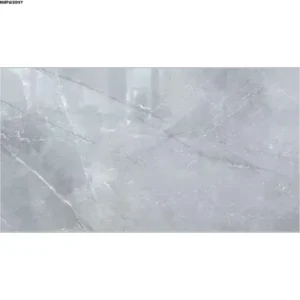 GREY GLOSSY-60X120 WALL/FLOOR TILE (MRP612011Y)