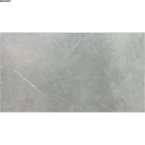 GREY MATTE-60X120 WALL/FLOOR TILE (MR612009Y)