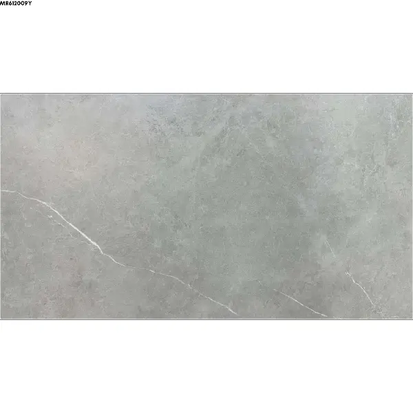 GREY MATTE-60X120 WALL/FLOOR TILE (MR612009Y)