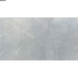 GREY MATTE-60X120 WALL/FLOOR TILE (MR612008Y)