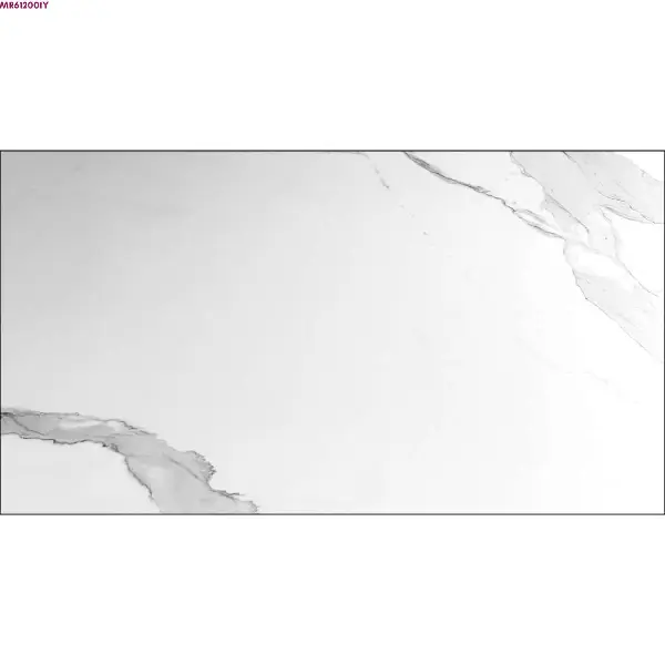 WHITE GLOSSY-60X120 WALL/FLOOR TILE (MRP612001Y)