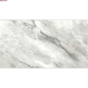 GREY GLOSSY-60X120 WALL/FLOOR TILE (MRP612009Y)