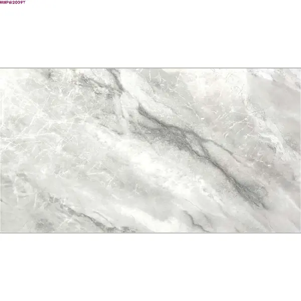 GREY GLOSSY-60X120 WALL/FLOOR TILE (MRP612009Y)