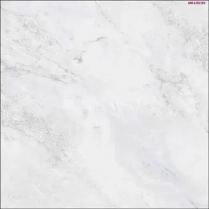 GREY MATTE-40X40 FLOOR TILE (MR40013K)