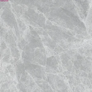GREY GLOSSY-60X60 WALL/FLOOR TILE (GREY GLOSSY-60X60 WALL/FLOOR TILES (YMP66738T)