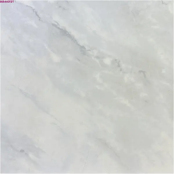 GREY MATTE-60X60 WALL/FLOOR TILES (MR66013T)