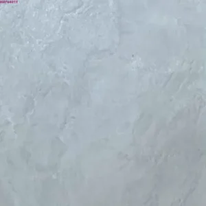 GREY GLOSSY-60X60 WALL/FLOOR TILES (MRP66011T)