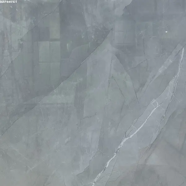 GREY GLOSSY-60X60 WALL/FLOOR TILES (MRP66010T)