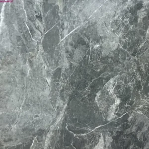 GREY GLOSSY-60X60 WALL/FLOOR TILE (MRP66812T)