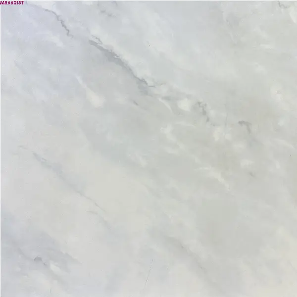 GREY GLOSSY-60X60 WALL/FLOOR TILE (MR66015T)