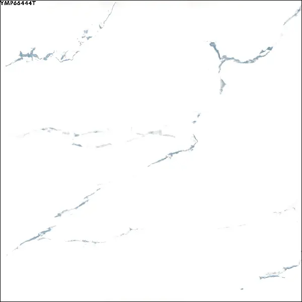 WHITE GLOSSY-60X60 WALL/FLOOR TILE (YMP664447T)