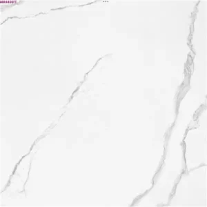 WHITE GLOSSY-60X60 WALL/FLOOR TILE (MR66031T)