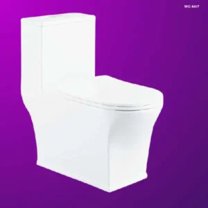 FRENCIA WC-8617 White One Piece Toilet
