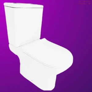 FRENCIA WC-045T White Two Piece Toilet