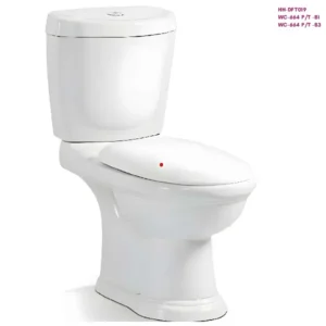 SAWA HH-DFT019 White one Piece Toilet