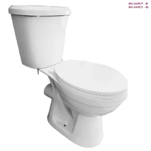 FRENCIA WC-009P/T White Two Piece Toilet