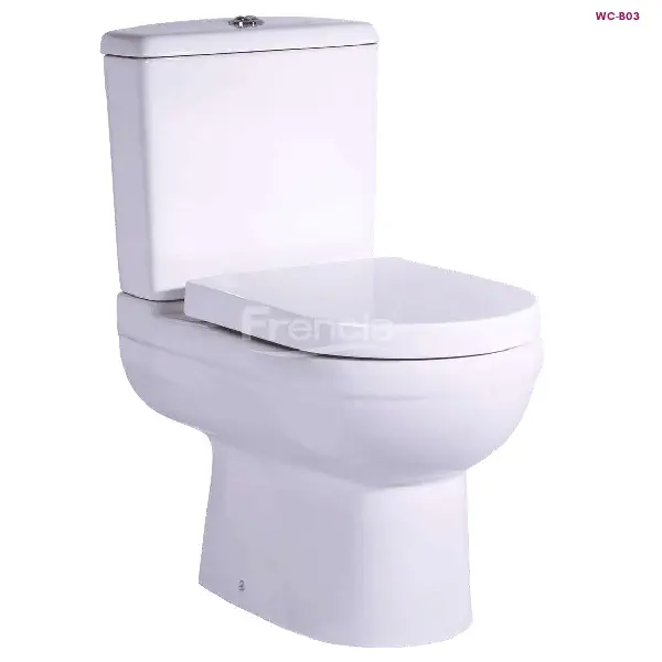 FRENCIA WC-B03 White One Piece Toilet