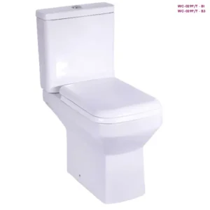 FRENCIA WC-029P/T White Two Piece Toilet