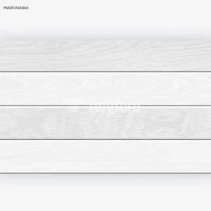 GREY GLOSSY-25×40 Wall Tile (PMCP24356AK)