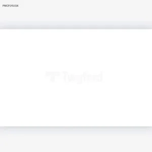 PLAIN WHITE GLOSSY-25×40 Wall Tile (PMCP24101K)